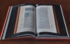 BIBLE. PARIS 1550,  2013, huile sur toile, 73 x 116 cm