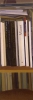 Manet, 1994, huile sur toile, 150x50 cm 